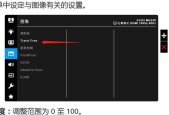 电脑显示器脱影原因解析（深入探究电脑显示器脱影现象及其解决方法）