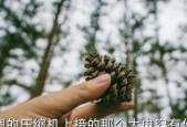 大金空调故障代码E4原因分析（探究大金空调出现故障代码E4的原因及解决方法）