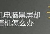 电脑亮黑屏的原因及解决方法（探寻电脑亮黑屏的原因和解决方案）