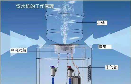 解决饮水机蟑螂问题的有效方法（消灭饮水机蟑螂的实用技巧与建议）  第1张