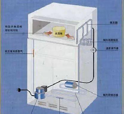 冰柜蒸发板故障分析及维修方法（探究冰柜蒸发板故障原因）  第1张